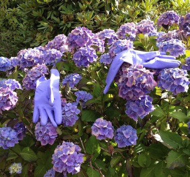 Random Acts of Travelling Sculpture, Sally Swain