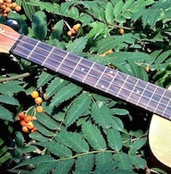 Random Acts of Travelling Sculpture third round SNEAK PEEK