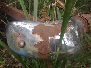 Birrell rust photo nature