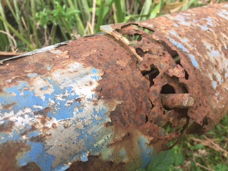 rust nature photo Birrell