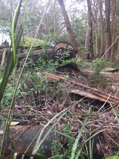 Birrell rust art photo nature