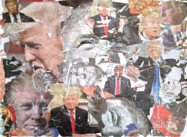 transform art collage Swain