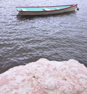 sense of smell photo Swain