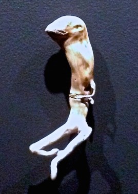 animal driftwood
