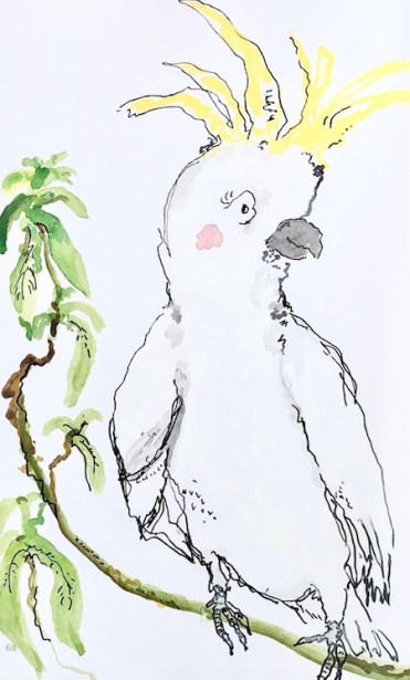 Emily Grant illustrator