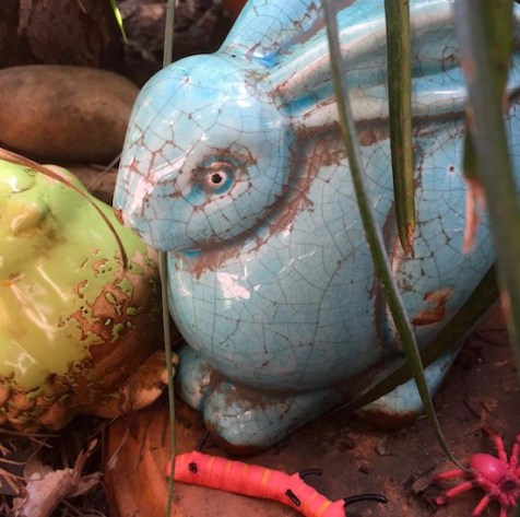 mindful photography garden