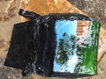 Sculpture by the Sea