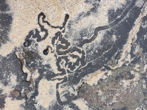 rock pool sand scribble